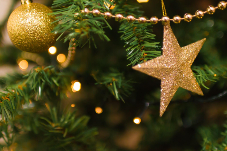 Get into the Holiday Spirit with Our Festive Library of Resources